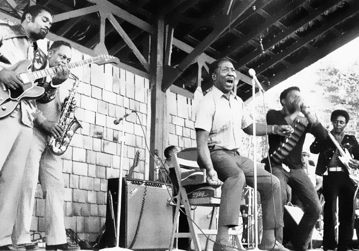 1972 Ann Arbor Blues and Jazz Festival crowd photos
