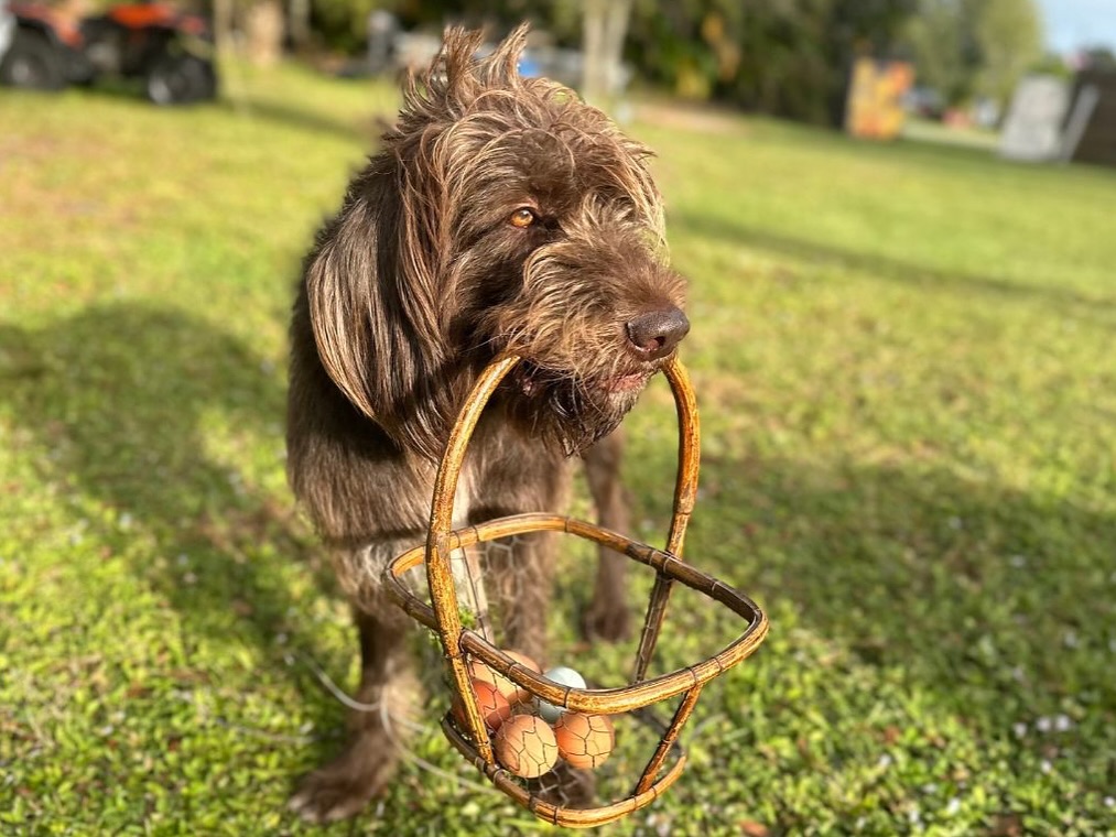 QHF Ranch | Palm City FL