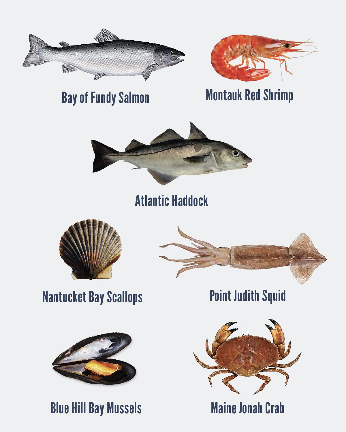 Foley Fish | New Bedford MA