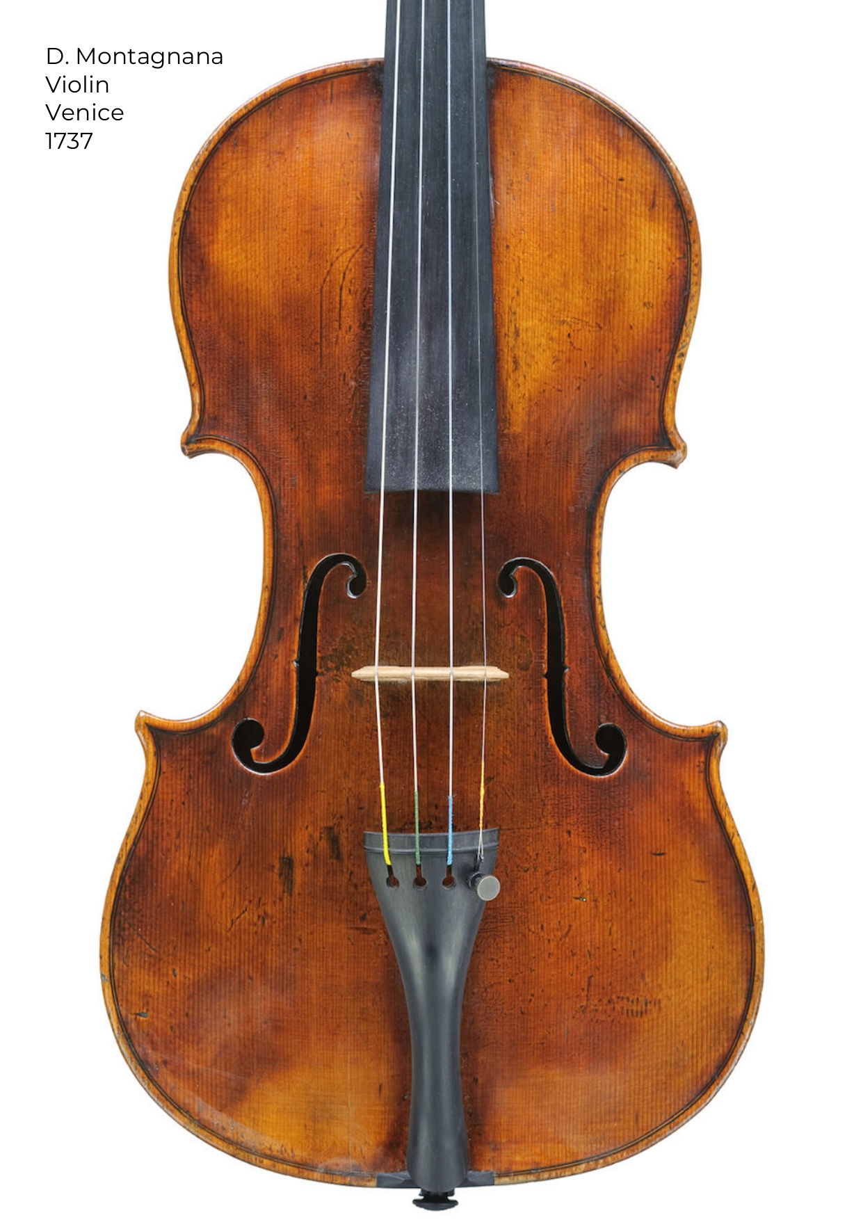 What about this violin? my third violin, Dominicus Montagnana