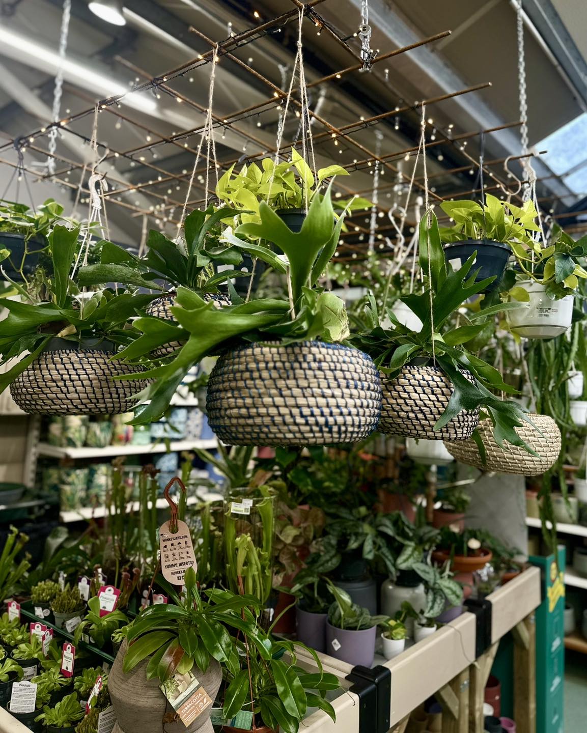 Highfield Garden World added a... - Highfield Garden World