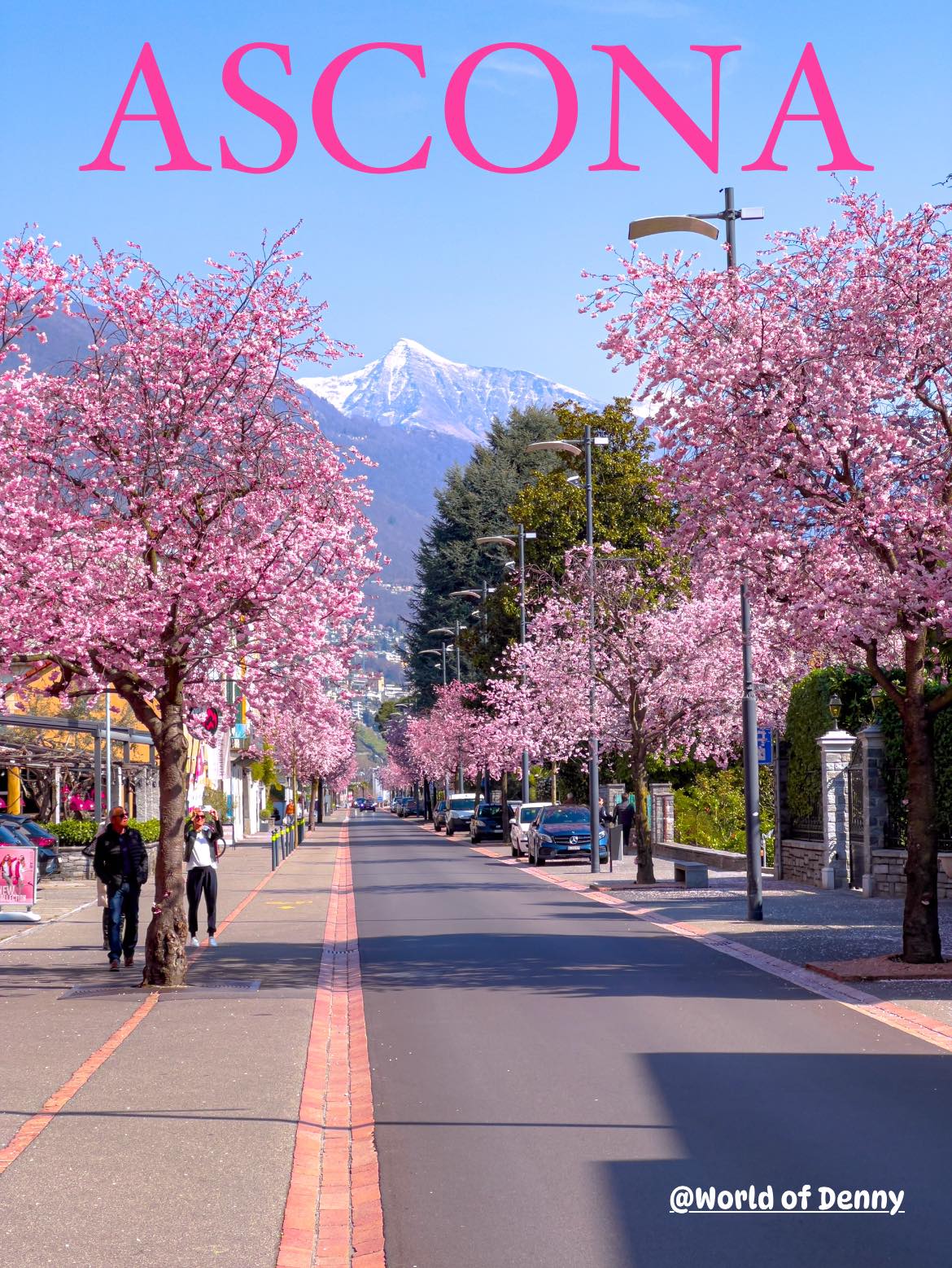 Cherry blossom time in Ascona 🌸 Spring paints the lake promenade