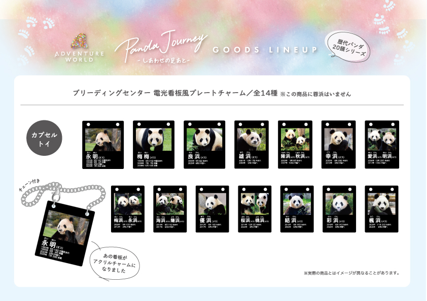 🐼✨おまたせしました！✨🐼 大好評につき完売していた「PANDA JOURNEY