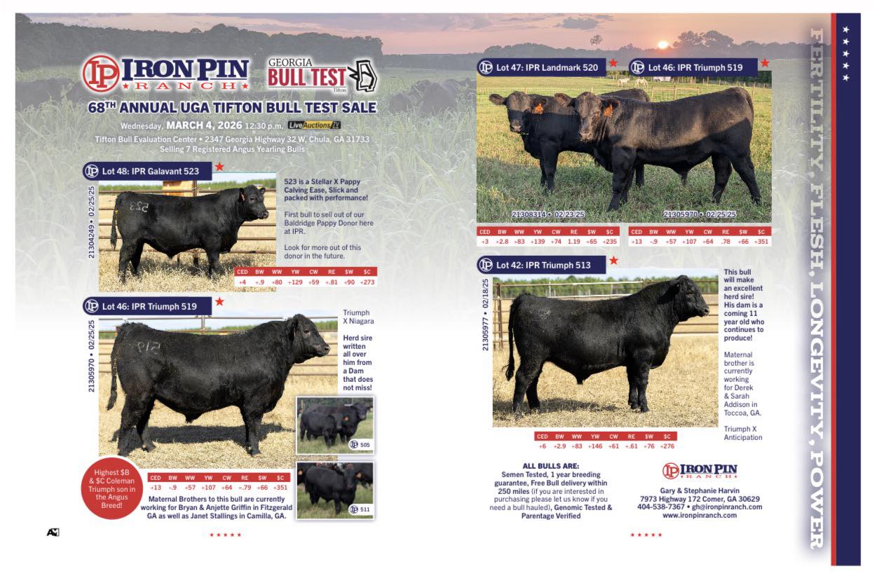 Iron Pin Ranch | Comer GA