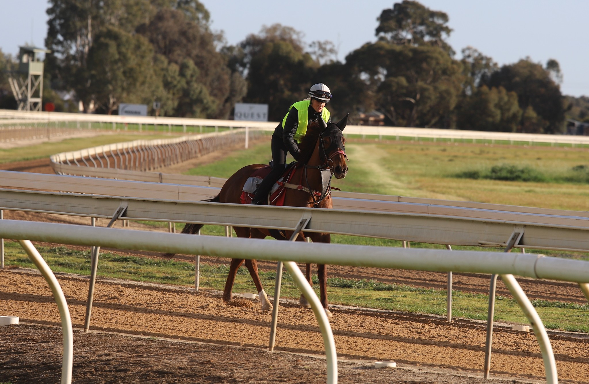 Echuca Racing Club | Echuca VIC