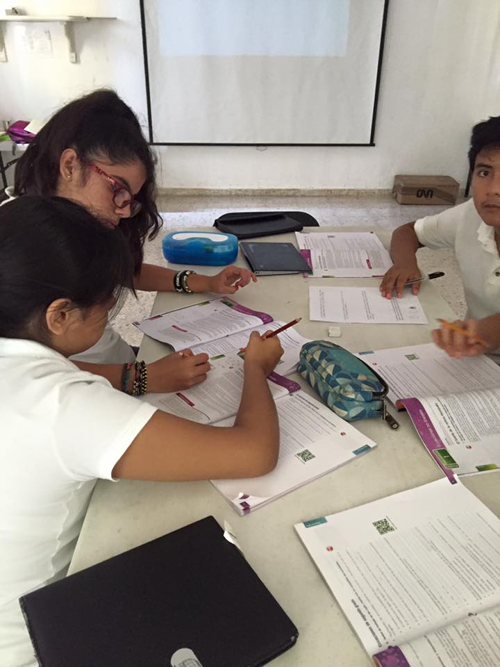 El trabajo colaborativo es... - Coldem, Colegio de México