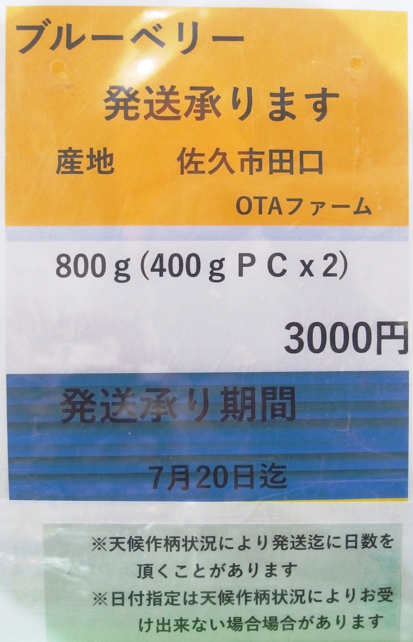 ブルーベリー贈答用の発送を開始しました 7月中旬までの取り扱い