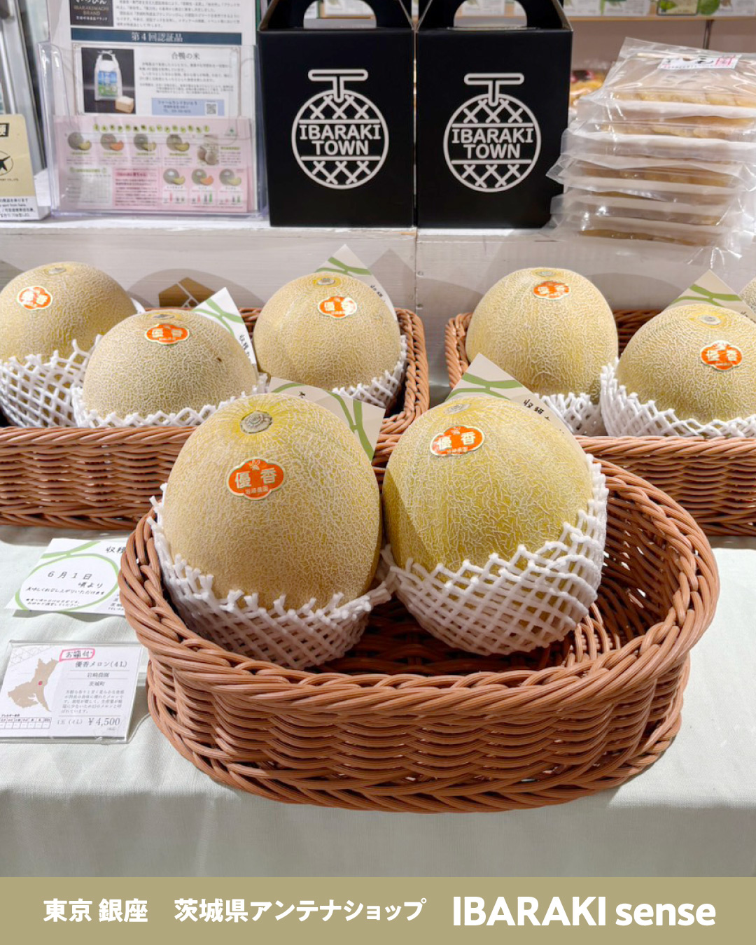 🍈✨希少品種メロン「優香（ゆうか）」入荷しました✨🍈 やさしく