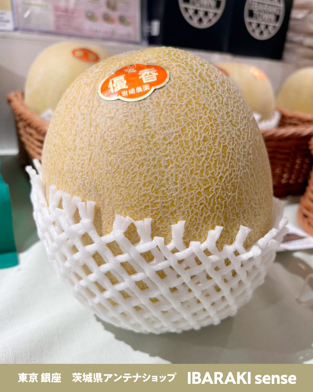 🍈✨希少品種メロン「優香（ゆうか）」入荷しました✨🍈 やさしく