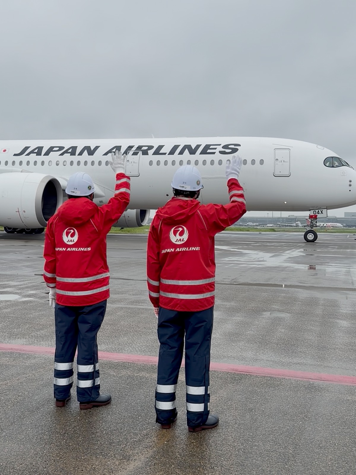 JAPAN - 特別塗装機「スーパーリゾートエクスプレス」は、1994年6月