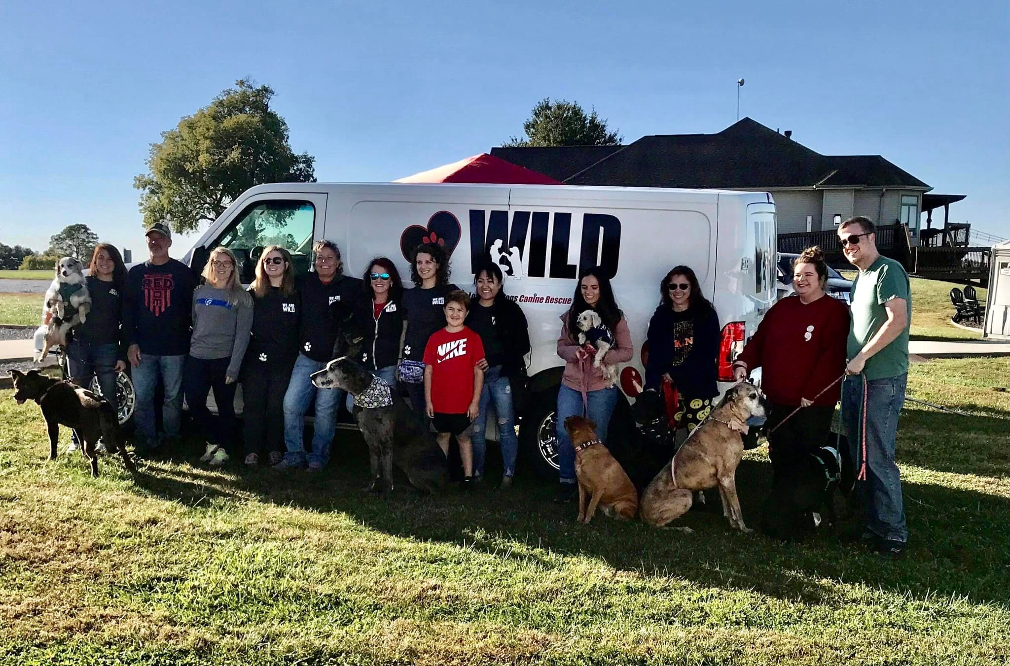 WILD Canine Rescue | Springfield IL