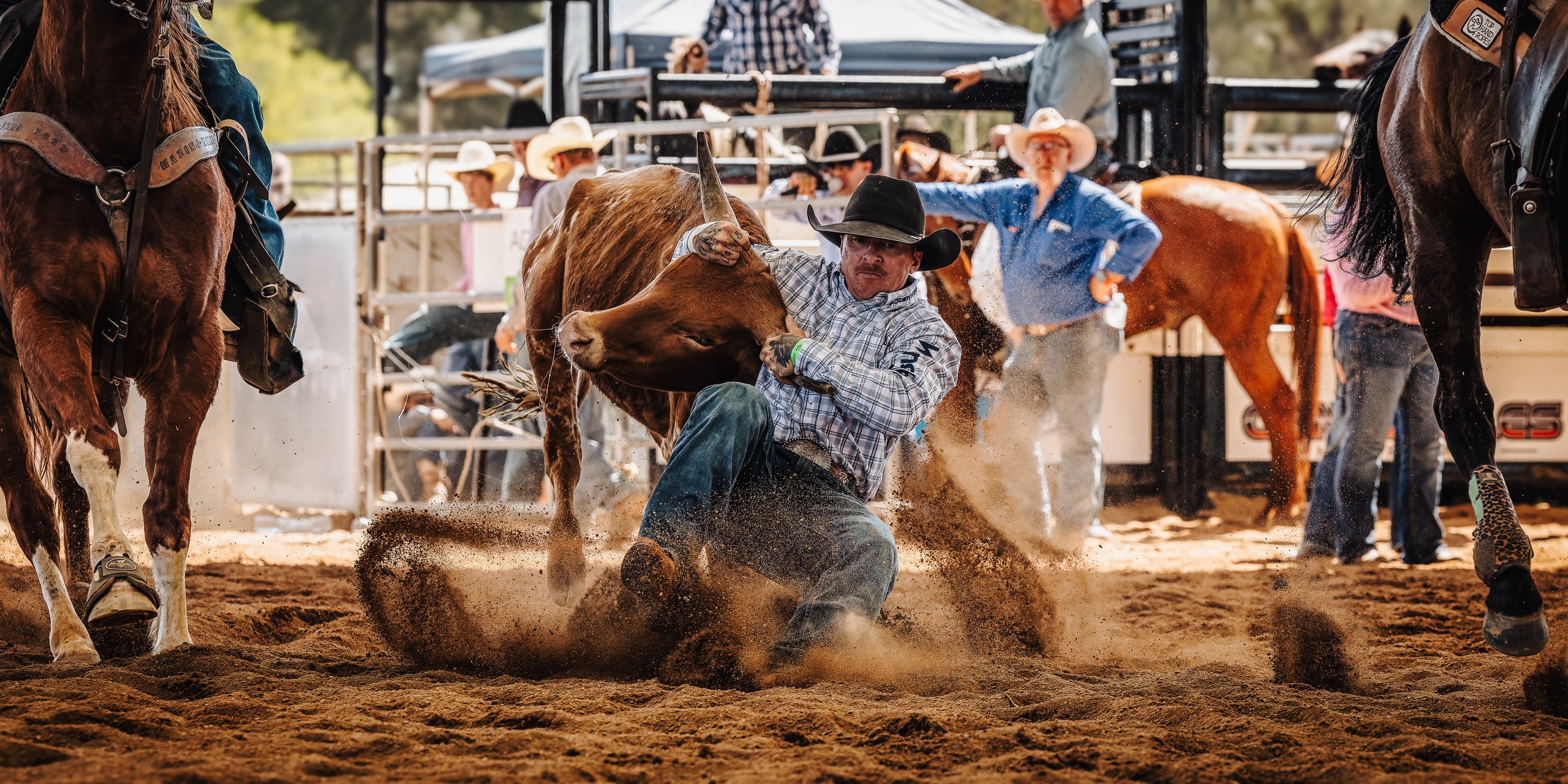 Bassingthwaighte Livestock Marketing... - Cootamundra Rodeo | Facebook