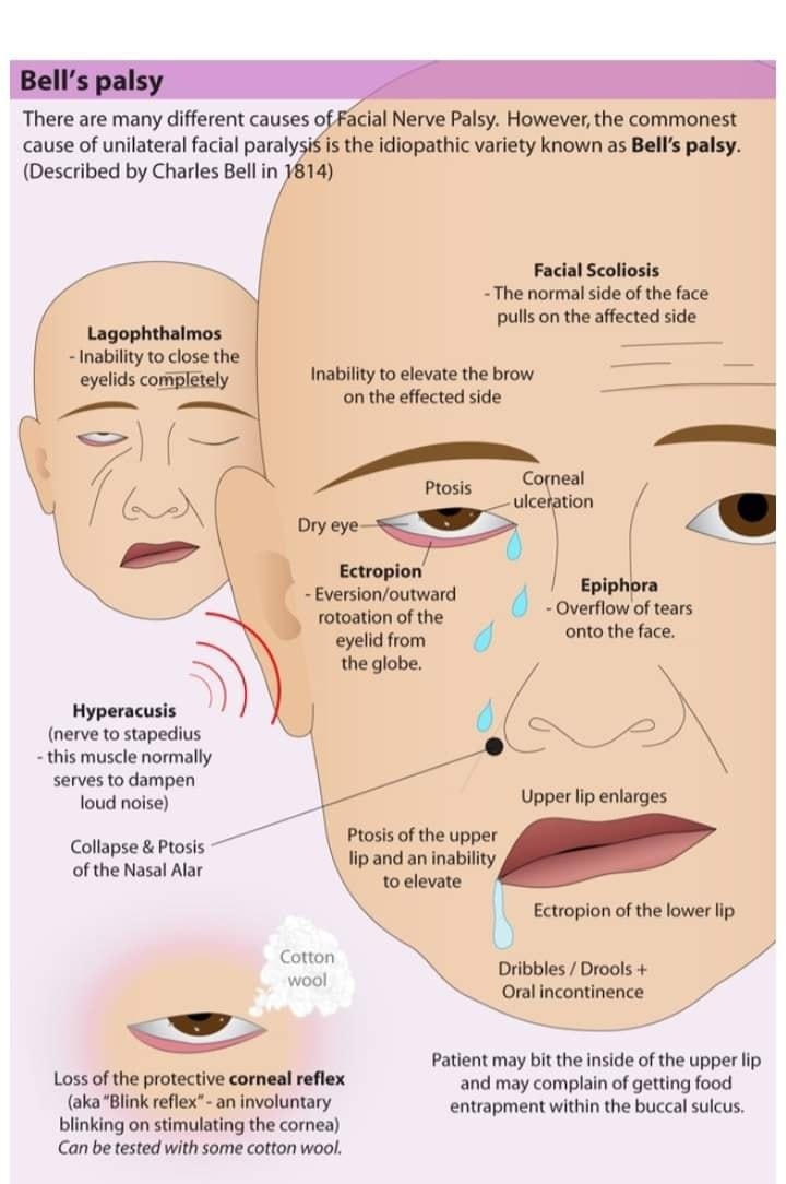 bpc-157 fda ban May Reverse on 14 Peptides—What It Means for Your Beauty Routine Size:10/10 MG Hospira BAC Water: Bacteriostatic benefit-sleep-and-stress-solutions