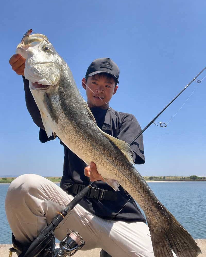 Megabass - 鯉のぼりをモチーフにした「天昇カラー・ルアーセット