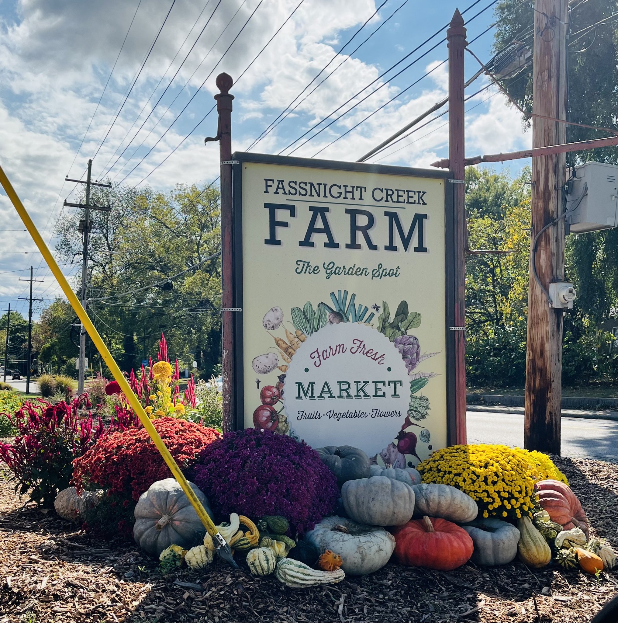 FASSNIGHT CREEK FARM ~FALL Sketch-Out🍁