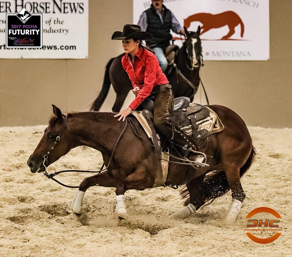 Congratulations to the... - Performance Horse Central