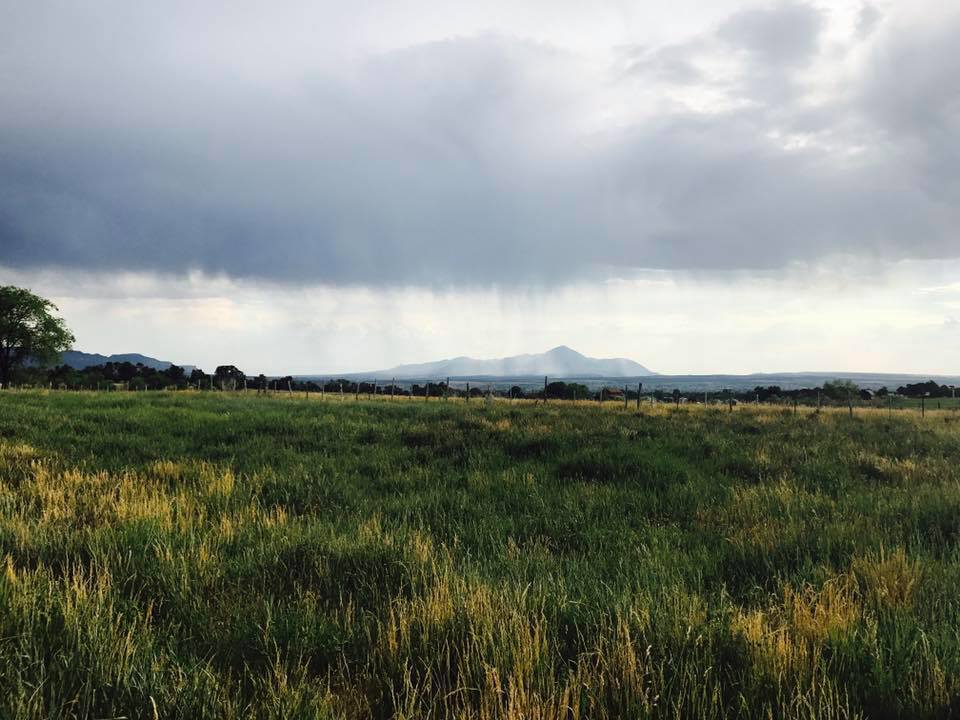 Summit Ridge Ranch | Dolores CO