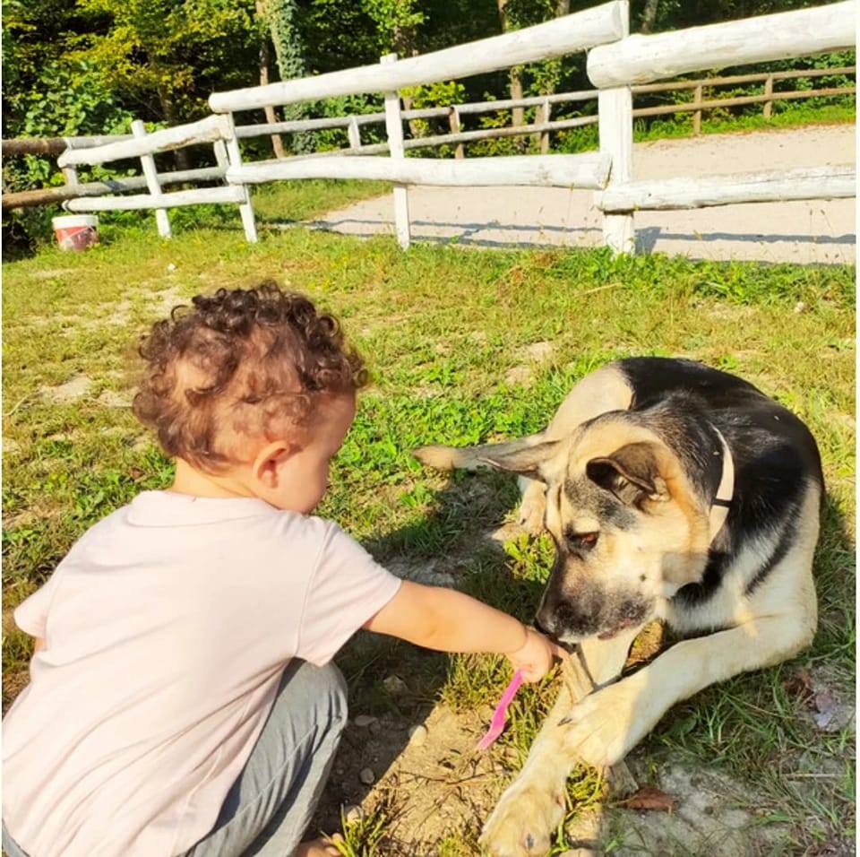 Il Ranch dei Piccoli | Cison di Valmarino