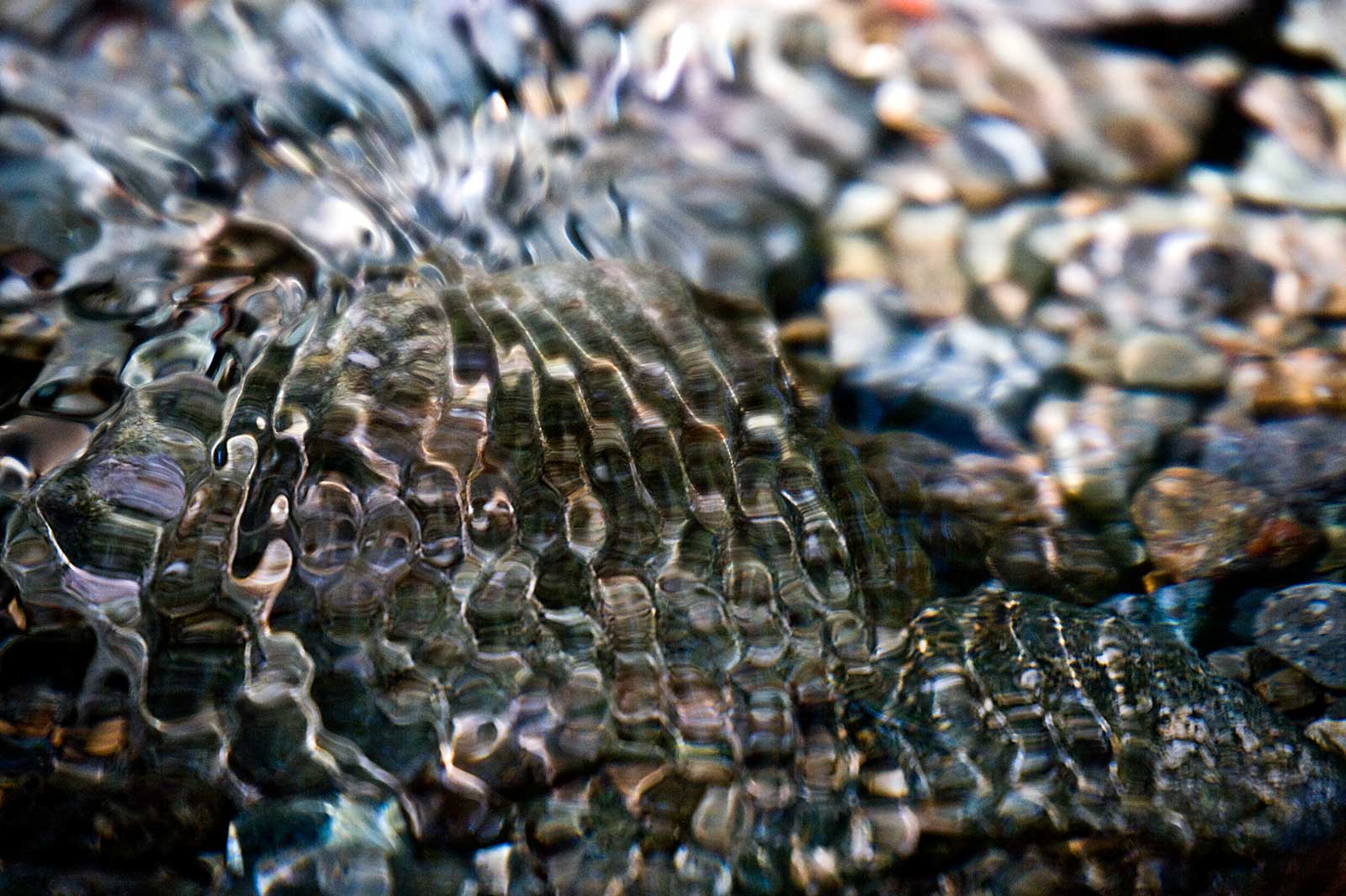 Abstract Resource
