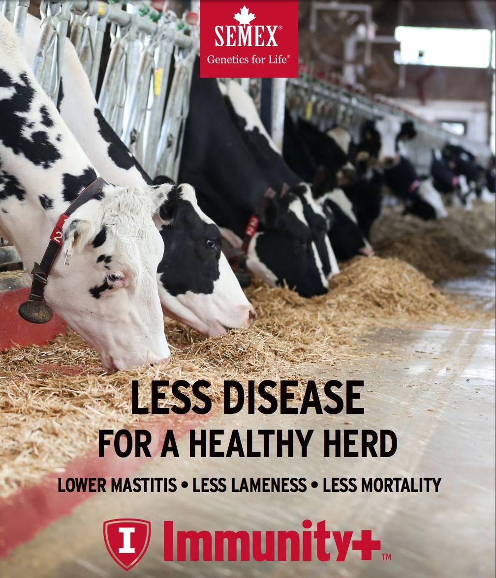 Semex - Did you see our ad in Progressive Dairyman? We're... | Facebook
