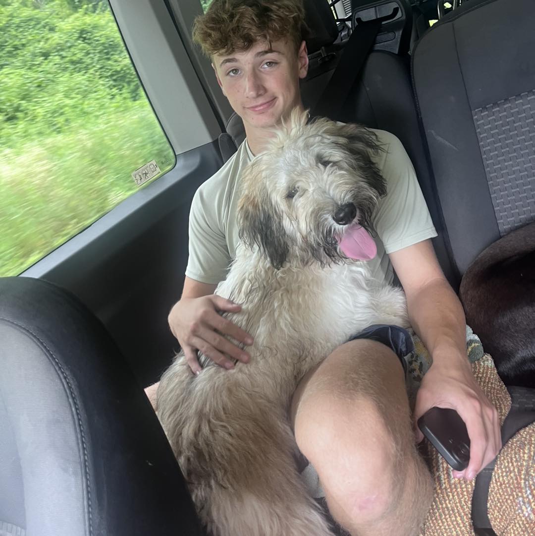Miss(y) Popular update! Our shaggy-faced cutie, Missy, found
