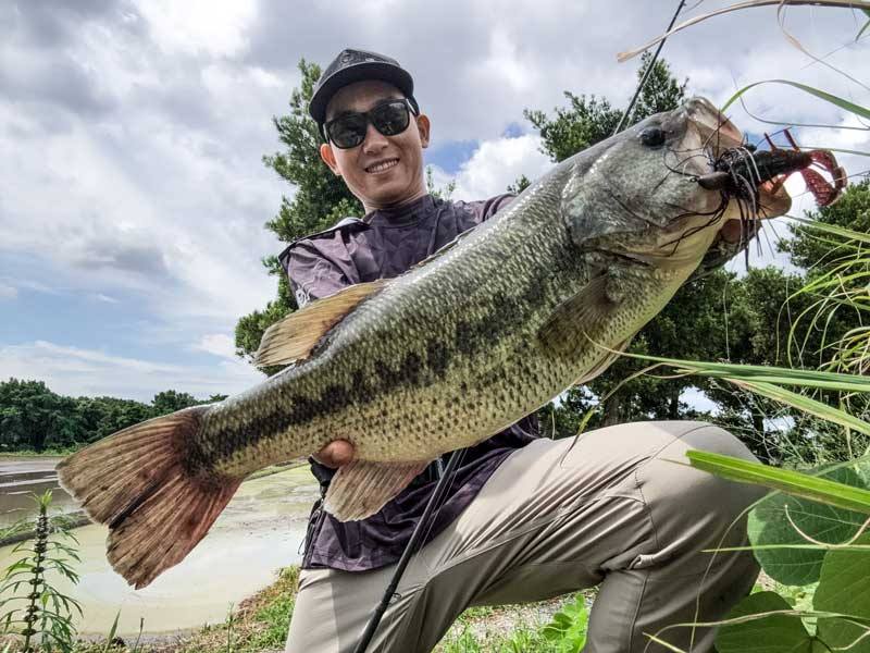 Megabass - 鯉のぼりをモチーフにした「天昇カラー・ルアーセット