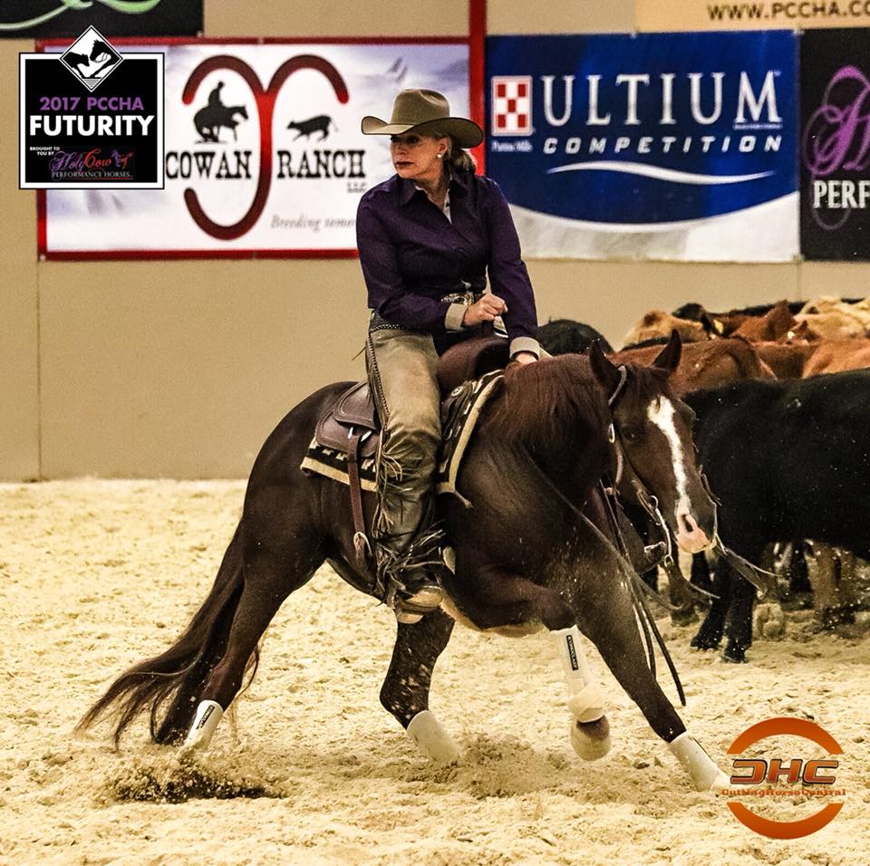 Brenda Higbee riding Dis Cats... - Performance Horse Central | Facebook