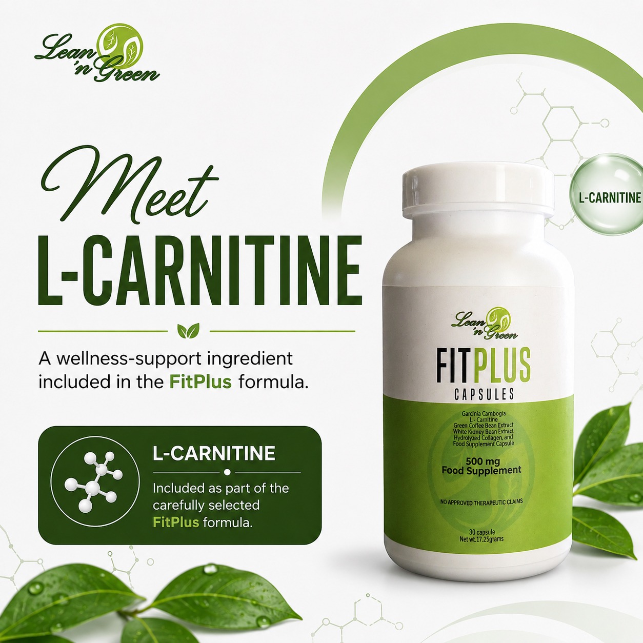 l carnitine plus green coffee extract Ingredient Spotlight: L-Carnitine L-Carnitine is one of the carefully selected ingredients included in Lean N' FitPlus. Learn more about the ingredients behind your daily wellness routine. NO APPROVED THERAPEUTIC CLAIMS Learn With zero sugar and 🔴 LIVE: Liver Cancer Quantity:6 Pack GHK Face Serum