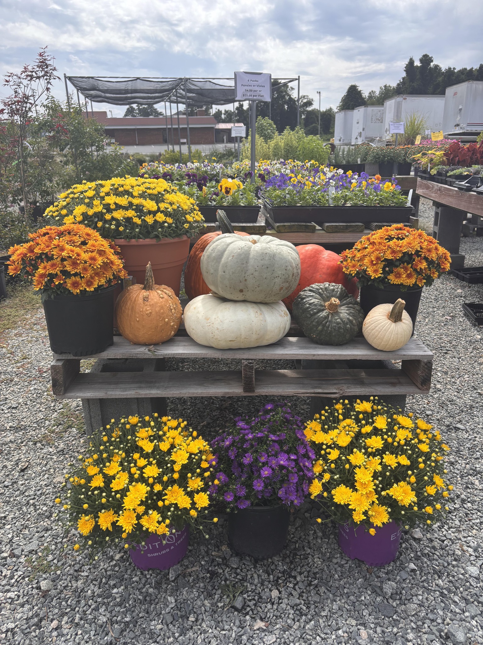 High Rock Nursery | Lexington NC