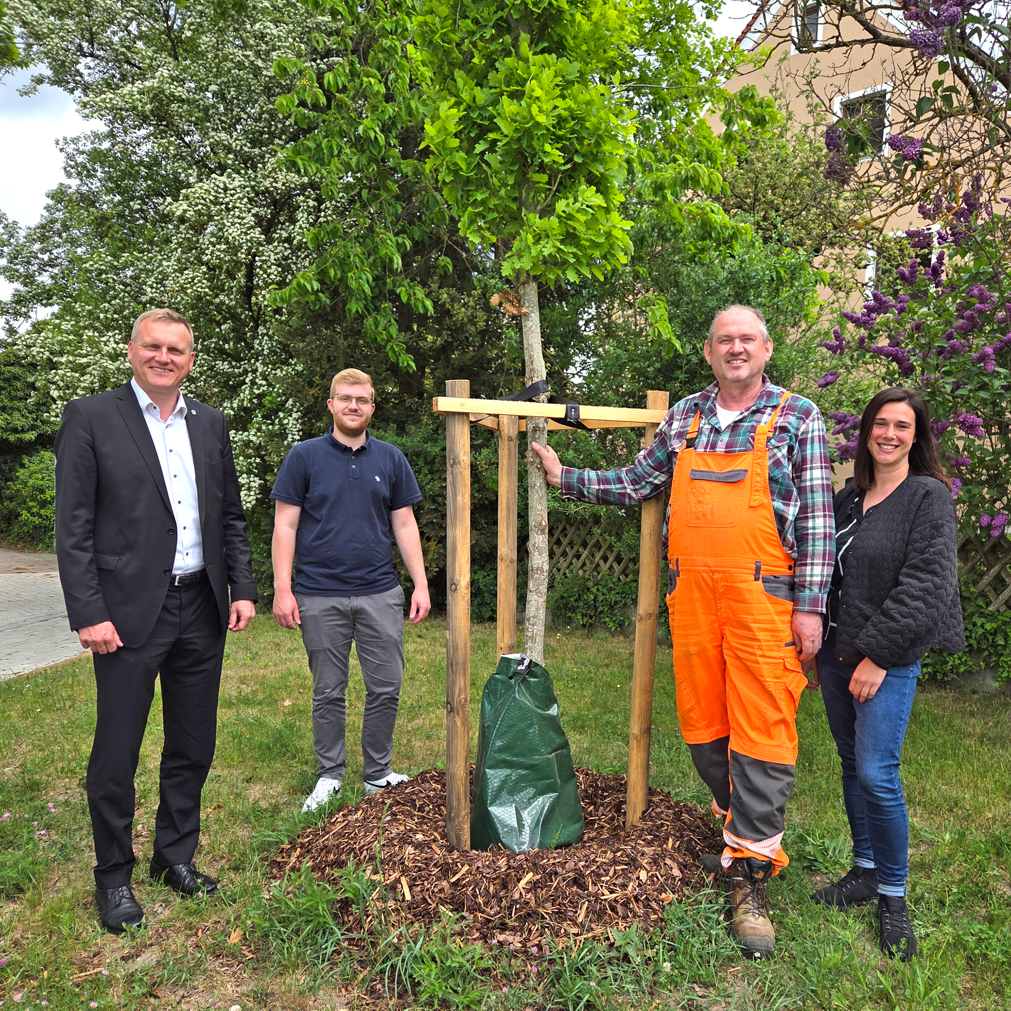 fiamma f45i markise F45 S Gehäuse Weiß 260cm, Tuch royal Grey + Sikaflex 221 Auto & Motorrad Who is Top Gear type_detail_1::Surgical Gloves Grupo:Shimano Dura Ace Di2 2x12