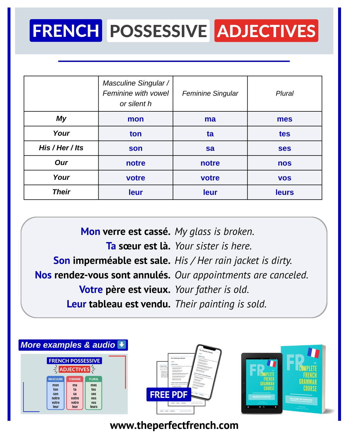 The perfect - French Possessive Adjectives with Audio & Free PDF 🇫🇷📝 ...