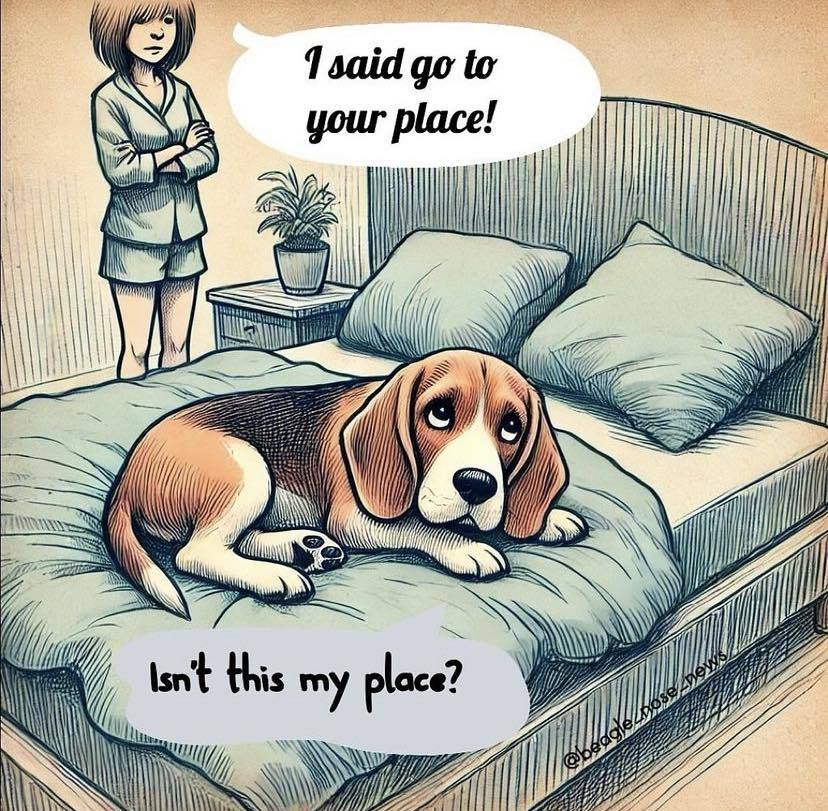 Beagle Lovers