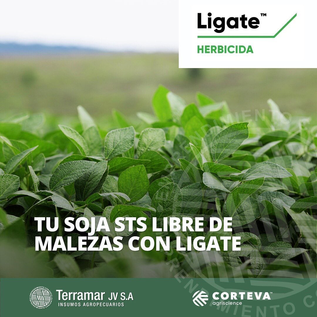 🌿 Ligate®️ STS™️ es un sistema que... - Terramar JV S.A.