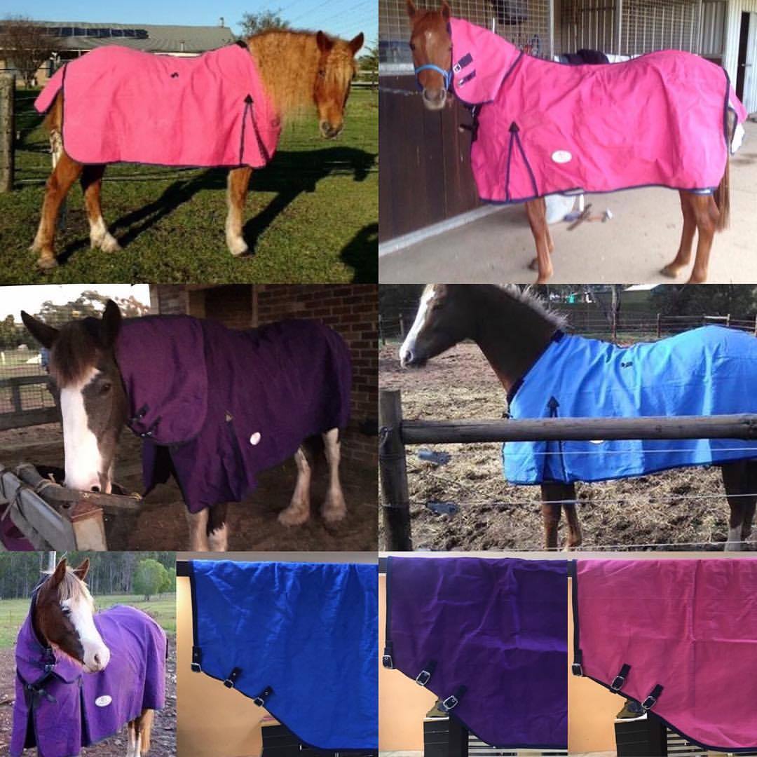 BelleVale Equine Attire - BelleVale Equine Attire Vibrant Canvas Rugs ...