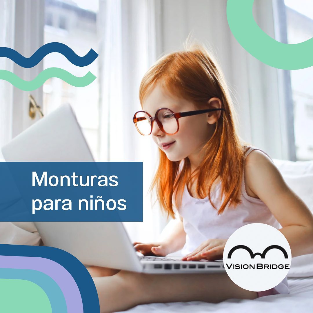 Vision Bridge - En nuestro sistema cuenta con inventario,... | Facebook
