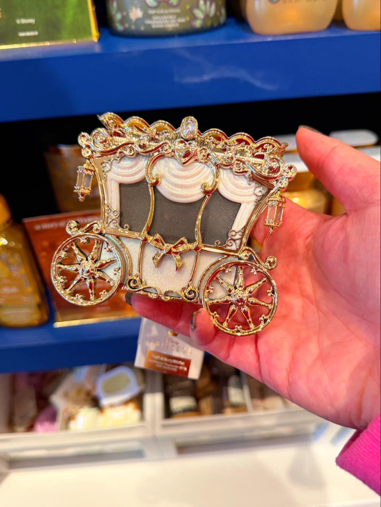 Disney Princess x Bath and Body Workswallflower plugins