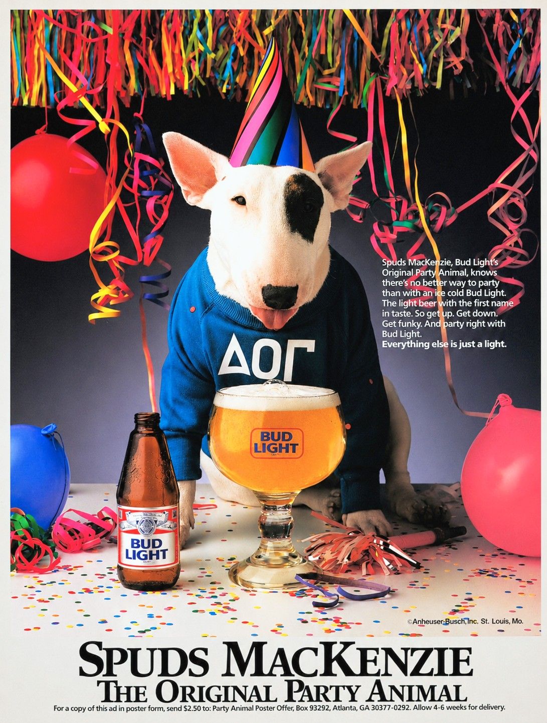1980s • Spuds MacKenzie, the original party animal. 🎉🐾🍺