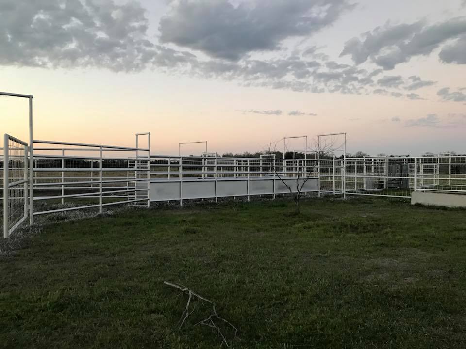 Bar Heart Ranch | Hallettsville TX