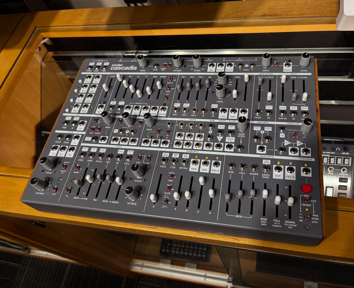 The Intellijel Cascadia Desktop Synth is currently on special for 