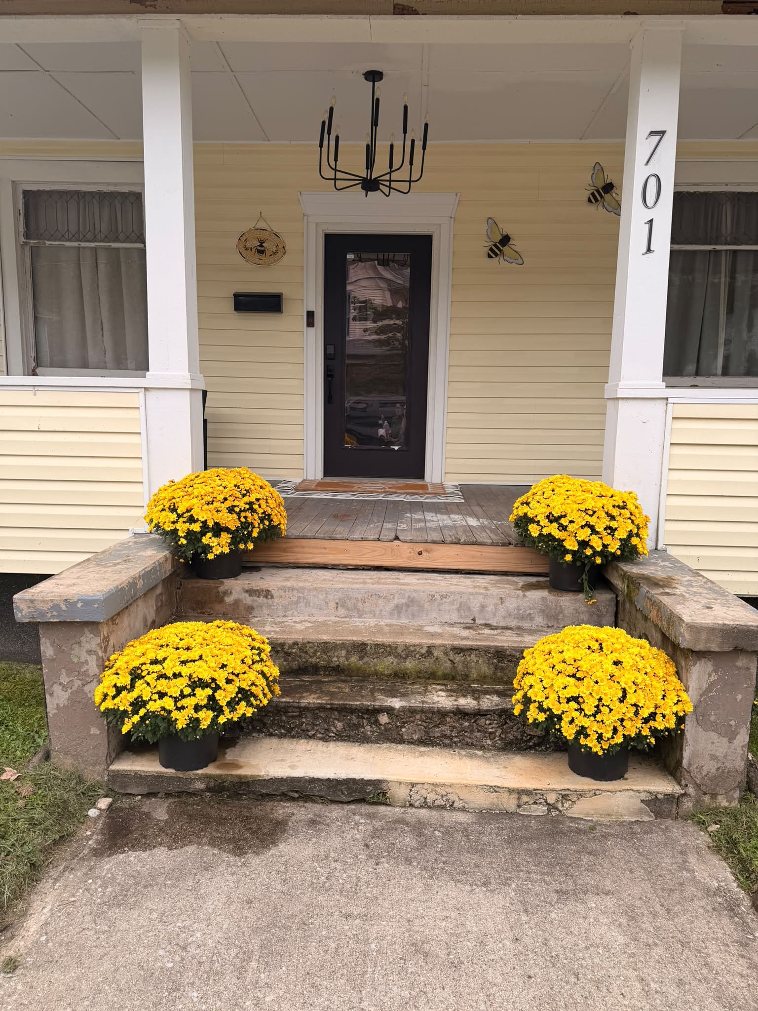 トップス house on the hill Yellow flower 80cm Cozy fall and winter getaways near Snowshoe Mountain, WV