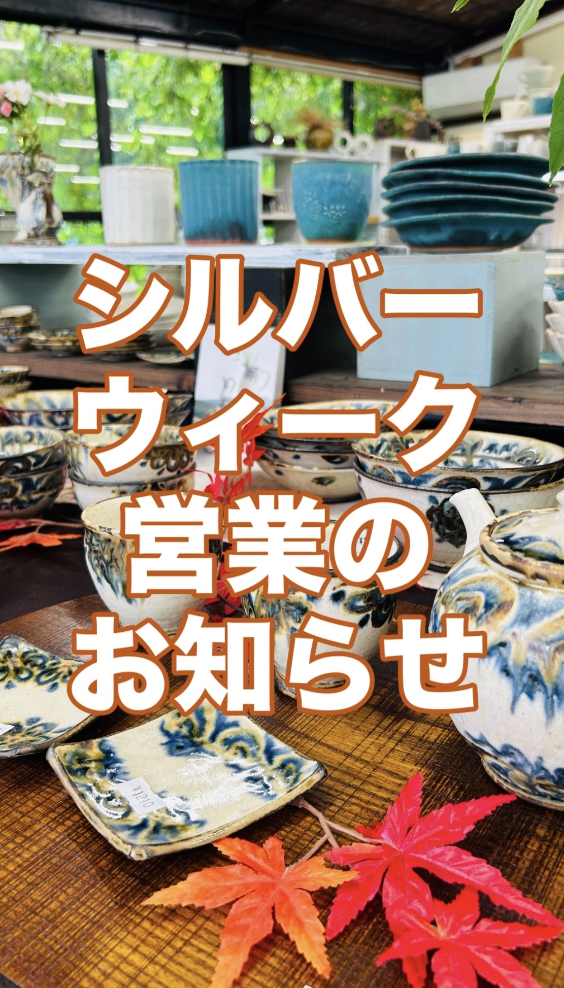 岡部耕太郎作陶展 鉢カバーのご紹介(^^♪ サボテンが植えられた