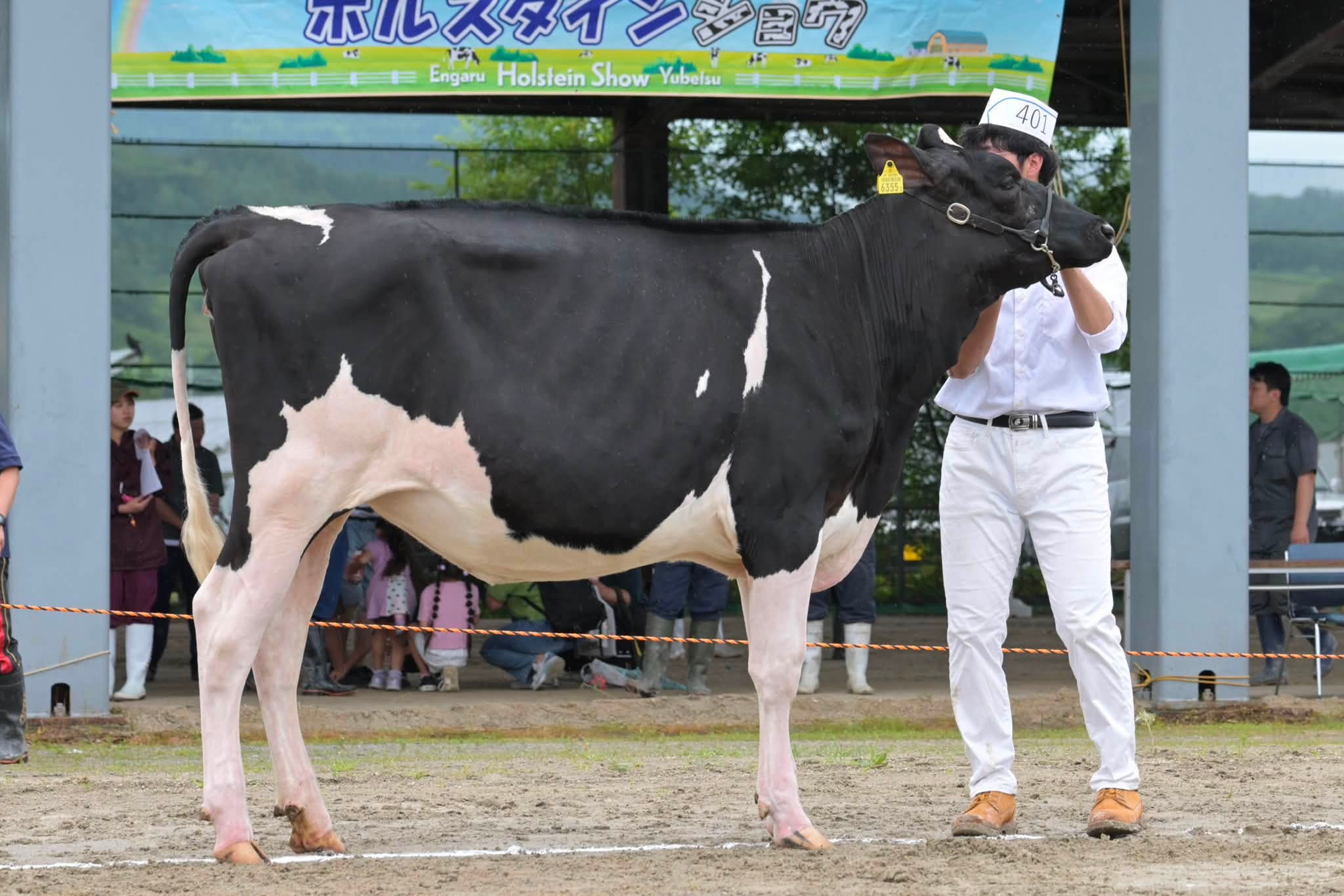 プランニング中商品のご紹介】 野澤組には畜産部 だけでなく、 繊維部
