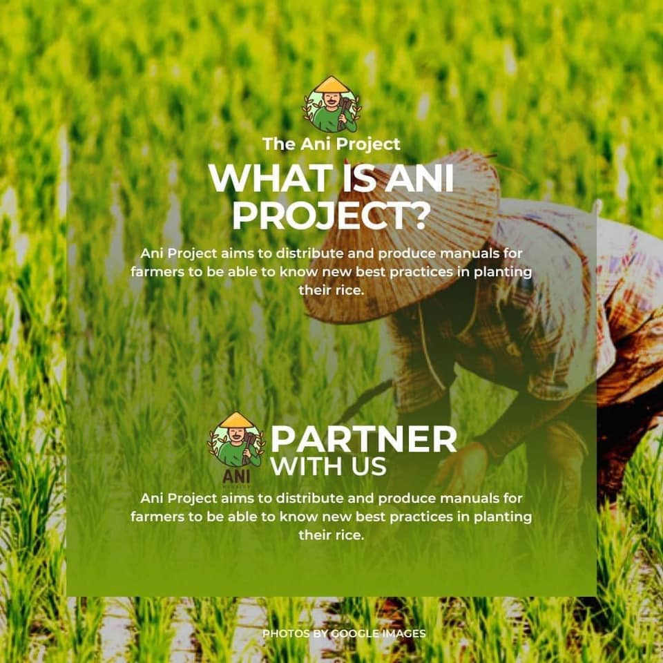 THE ANI PROJECT... - Millennium Fellows - UP Diliman