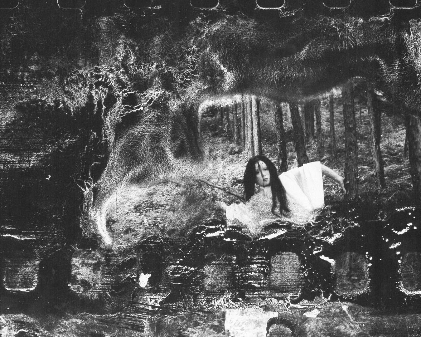 Nobuyoshi Araki 荒木 経惟
