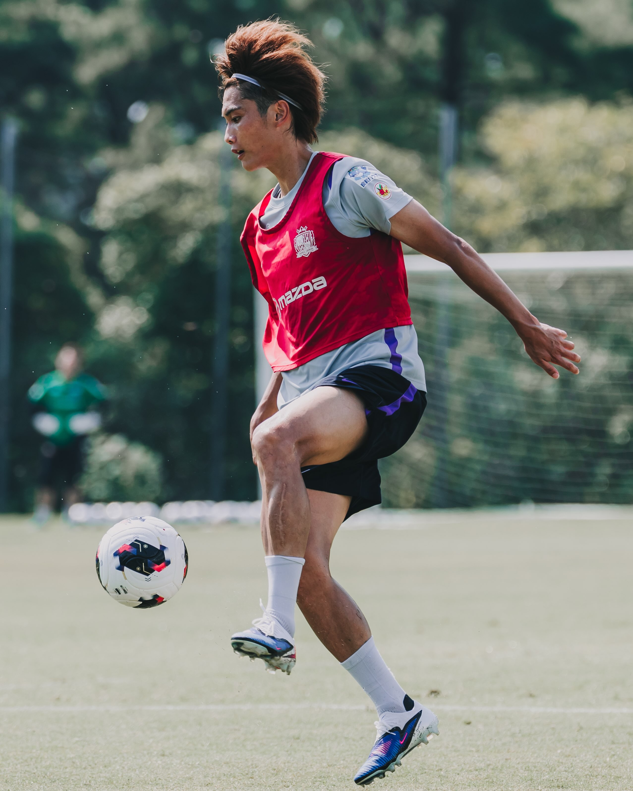 サンフレッチェ広島｜SANFRECCE - 初めてサンフレッチェのユニフォーム