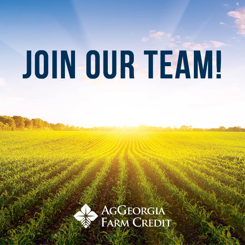 Come join our team! We are hiring... - AgGeorgia Farm Credit | Facebook