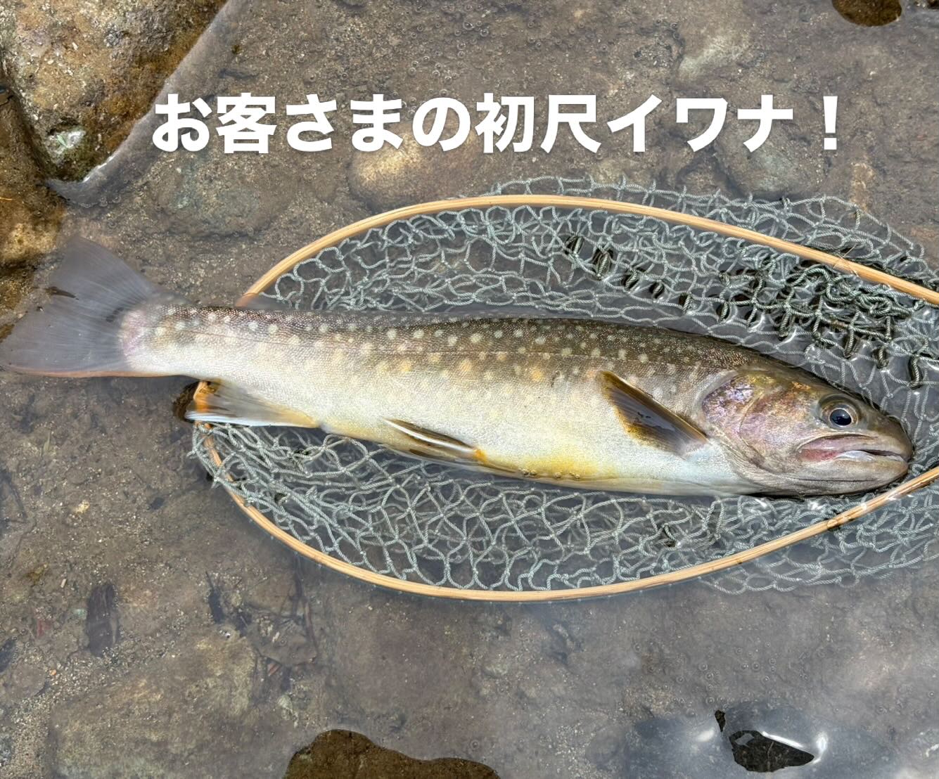 USEDのカムパネラロッドのご案内 エメラルドウォーターの7フィート9