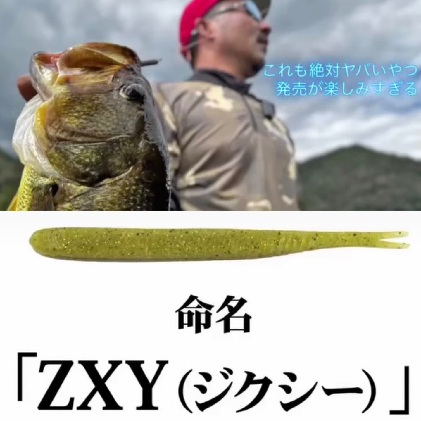 釣り ZAPPU - . 全貌が明らかになった @fishmagnet_official #zxy #ジクシー
