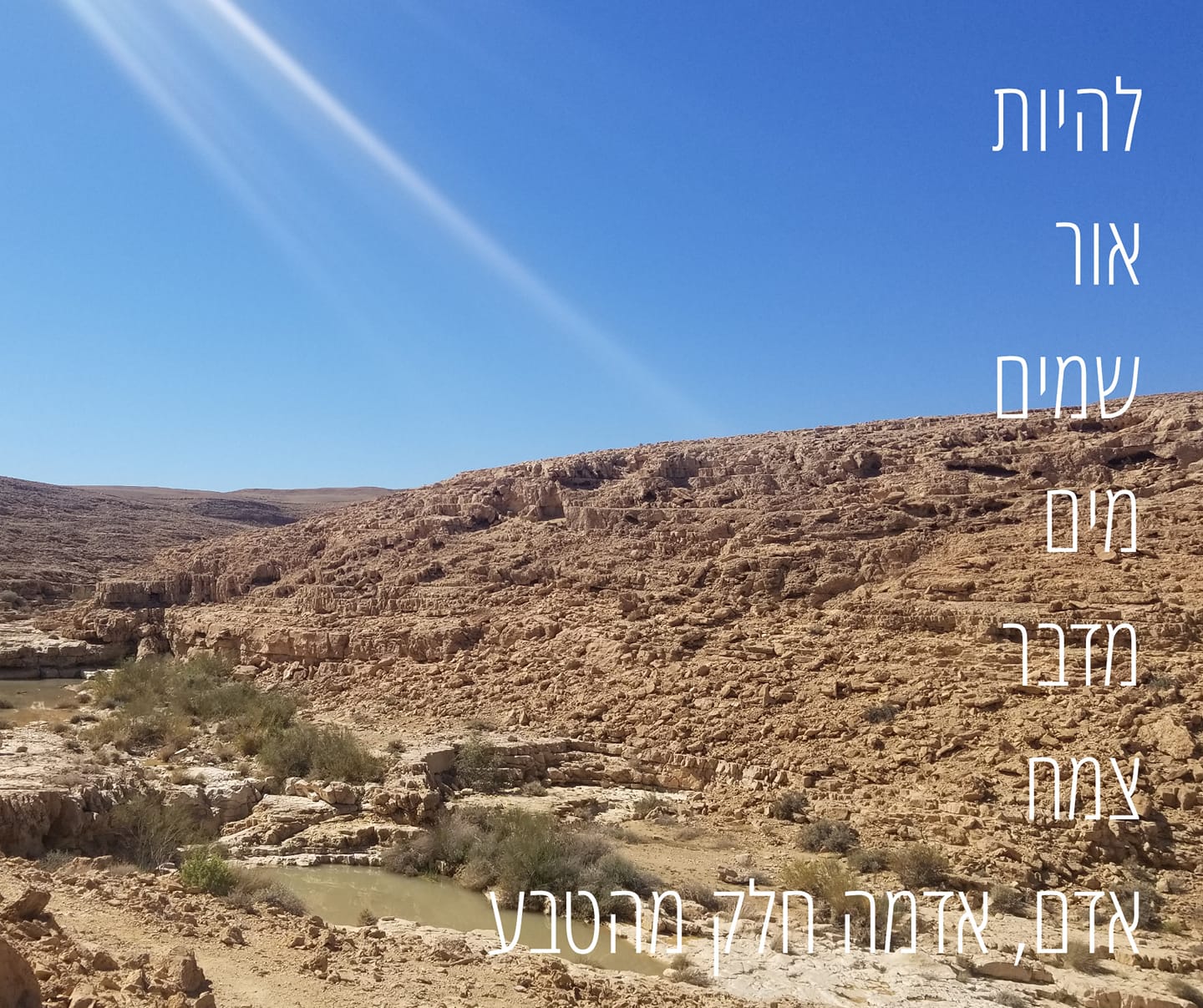 מיכל שמואל - מילים דרך אור - שבת שלום 🌼 | Facebook