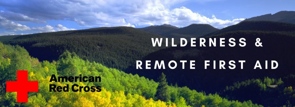 Lewis - 🌳⛑️American Red Cross Wilderness and Remote First Aid ...